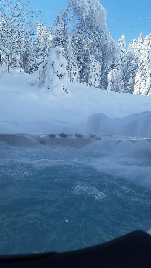 Le Chalet De Valentine Panzió Ventron Kültér fotó