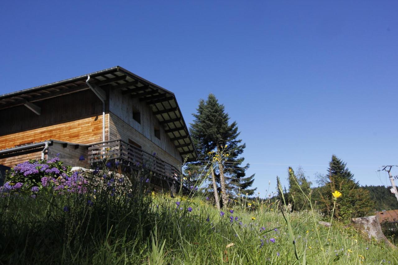 Le Chalet De Valentine Panzió Ventron Kültér fotó